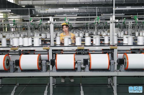 恒力 贵阳 产业园首条生产线投入试生产